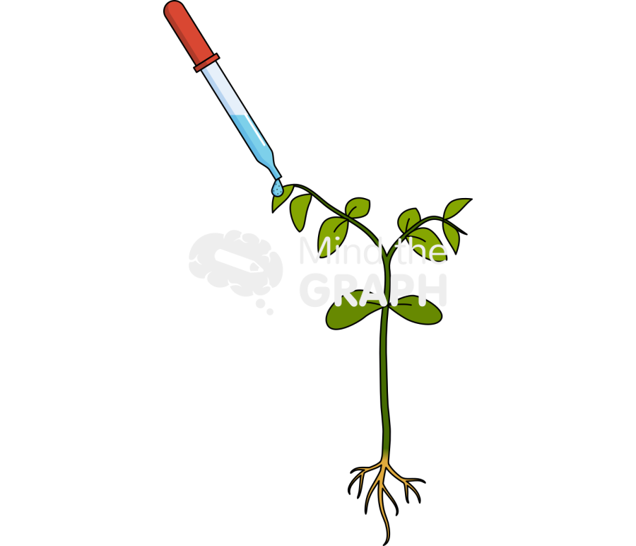 Nanoparticle plants Icons, Symbols, Pictures, and Images